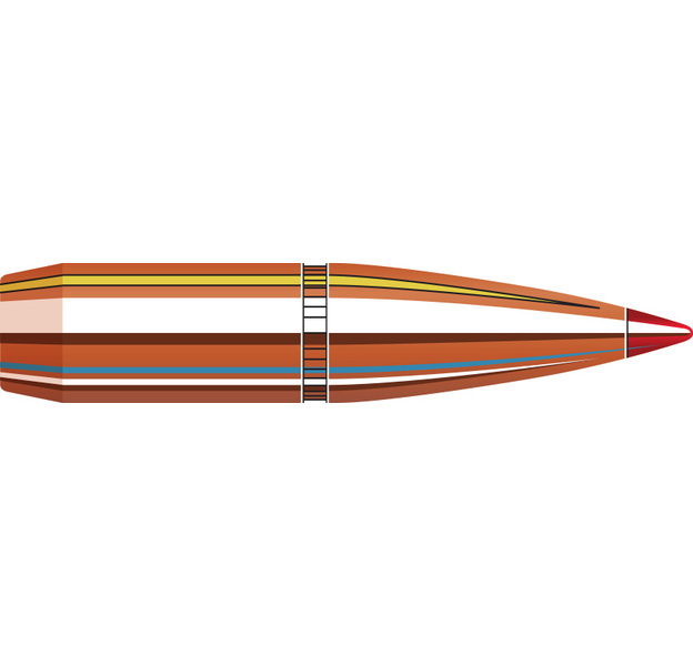 Hornady 7mm (.284) 162 gr SST